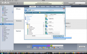 2009 07 10 itunes ipcc